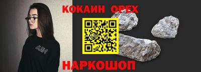 крисы Кулебаки