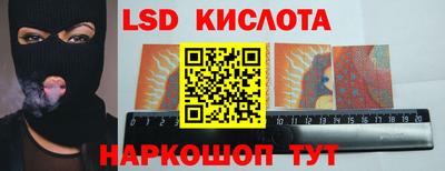 крисы Кулебаки