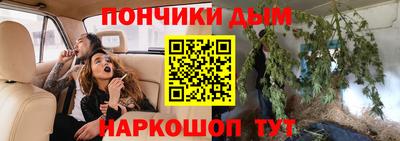 крисы Кулебаки