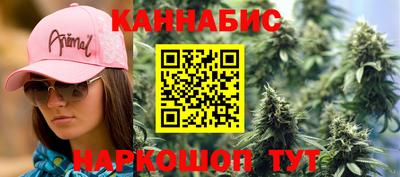 крисы Кулебаки