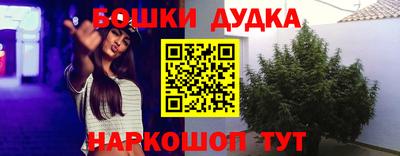 крисы Кулебаки