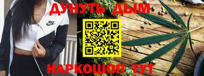 крисы Кулебаки