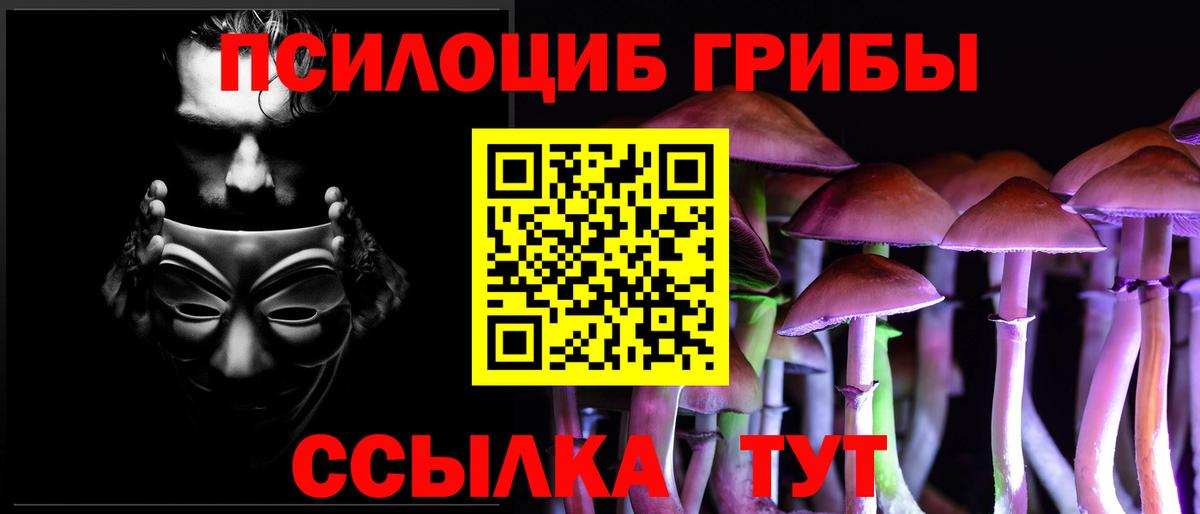 Псилоцибиновые грибы ЛСД Долгопрудный
