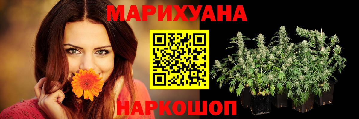 Шишки марихуана марихуана Долгопрудный